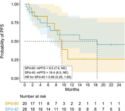Efficacy and safety of once weekly selinexor 40 mg versus 60 mg with pomalidomide and dexamethasone in relapsed and/or refractory multiple myeloma